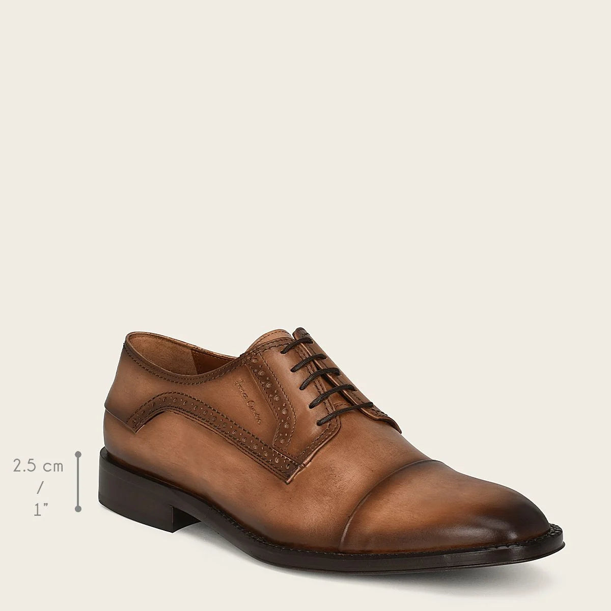 D24TVTV brown franco cuadra shoe