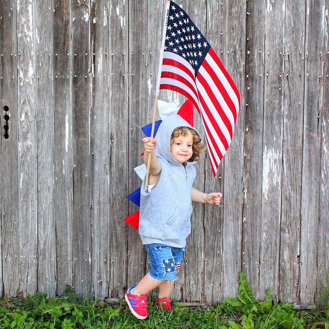 Patriotic Hoodie - Red, White and Blue | July 4th Spikes Dino Hoodie