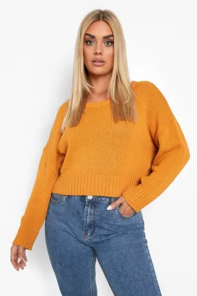 Plus Recycled Cropped Sweater